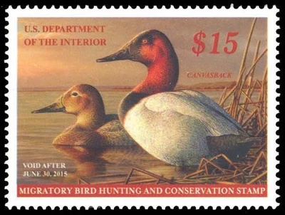 RW81 — 2014 Canvasback, Superb 98 NH, PSE Certificate - Image 1 of 2