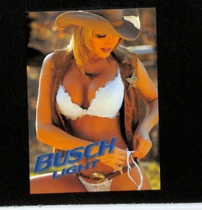 Busch Light Beer - Caja de herramientas de nevera de metal IMÁN 🍺OMG - Vaquera sexy - Imagen 1 de 1
