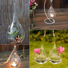 Tea Light Candle Holders Clear Glass Teardrop Baubles Wedding Xmas Hanging Decor