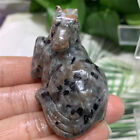 1 pièce cheval naturel Yooperlite sculpté quartz cristal pierre crâne Reiki guérison