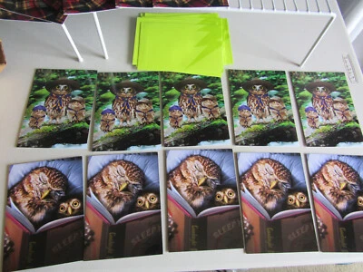 Lote de 10 cartões de leitura para família coruja caminhada dia dos pais saudação Avanti Press EUA - Imagem 1 de 4