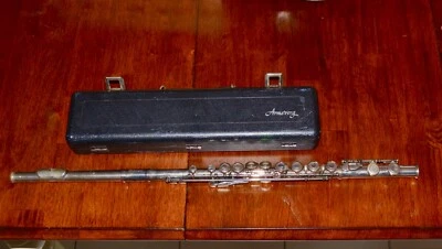 Flauta Estudiantil WT Armstrong #104 De Colección + Estuche de Transporte Banda de Concierto de Marcha  Foto 1 de 4