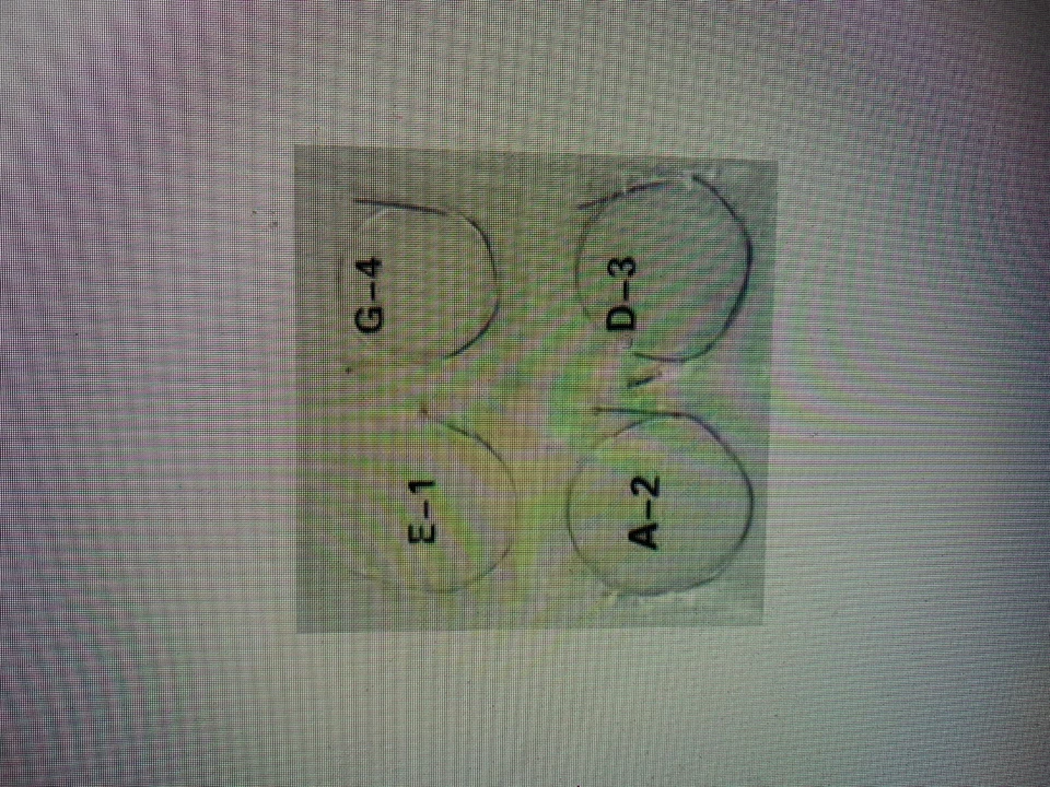 Violin Strings (complete set) For 1/16 Size Violin. All Strings Included - Image 1 of 1