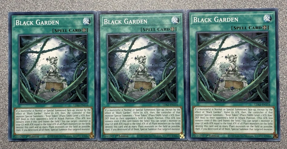 Black Garden LDS2-EN116 (x3) Legendary Duelists: Season 2 1st Edition NM - Image 1 of 1