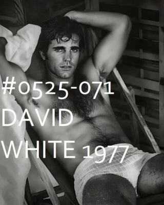 VINTAGE MALE PORTRAIT #0525-071 -david white 1977  -free shipping in usa - Image 1 of 2