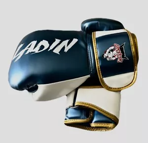 Boxing gloves 10 oz - Picture 1 of 5