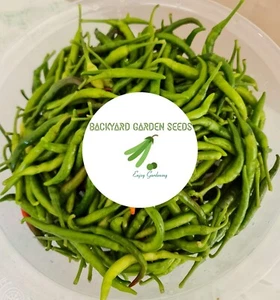 Chilli Bangladeshi Indian Hot Long Green Pepper OZ Grown 15/20 Seeds - Picture 1 of 4