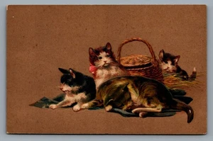 DB postcard PFB, cats resting by basket Serie 8672 lightly embossed SPOTS STAINS - Picture 1 of 2