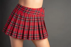 REGULAR MINI Skirt Plaid Pleated (RedStewart) - Picture 1 of 3