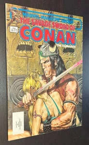 SAVAGE SWORD OF CONAN #97 (Marvel Comics 1984) -- Copper Age Fantasy -- FN/VF - Picture 1 of 3
