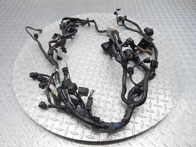Triumph Speedmaster EFI 2013 09-17 motor principal arnés cable telar cable Foto 1 de 4