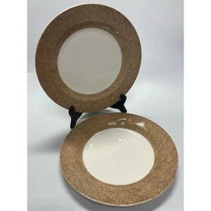 Set Of 2 Pier 1 Imports Textured Bands Dinner Plates 10 3/8" - Picture 1 of 3