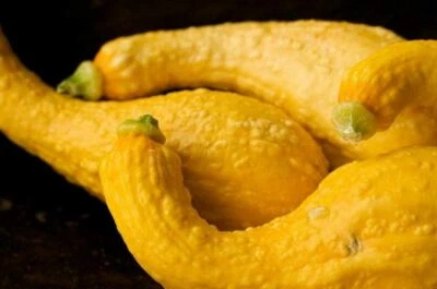 Semillas de Calabaza, Semillas de Calabaza Cuello Crook Dorado, Marca "COOL BEANS N SPROUTS". Foto 1 de 3