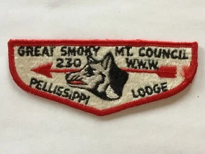 Pellissippi Lodge 230 S-3 solapa de bolsillo - Imagen 1 de 1