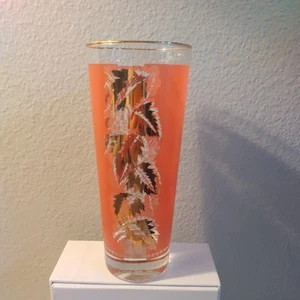 Vintage Mist Bartlett Collins High Ball Tumbler Glass 12 oz Coral Replacement - Picture 1 of 8
