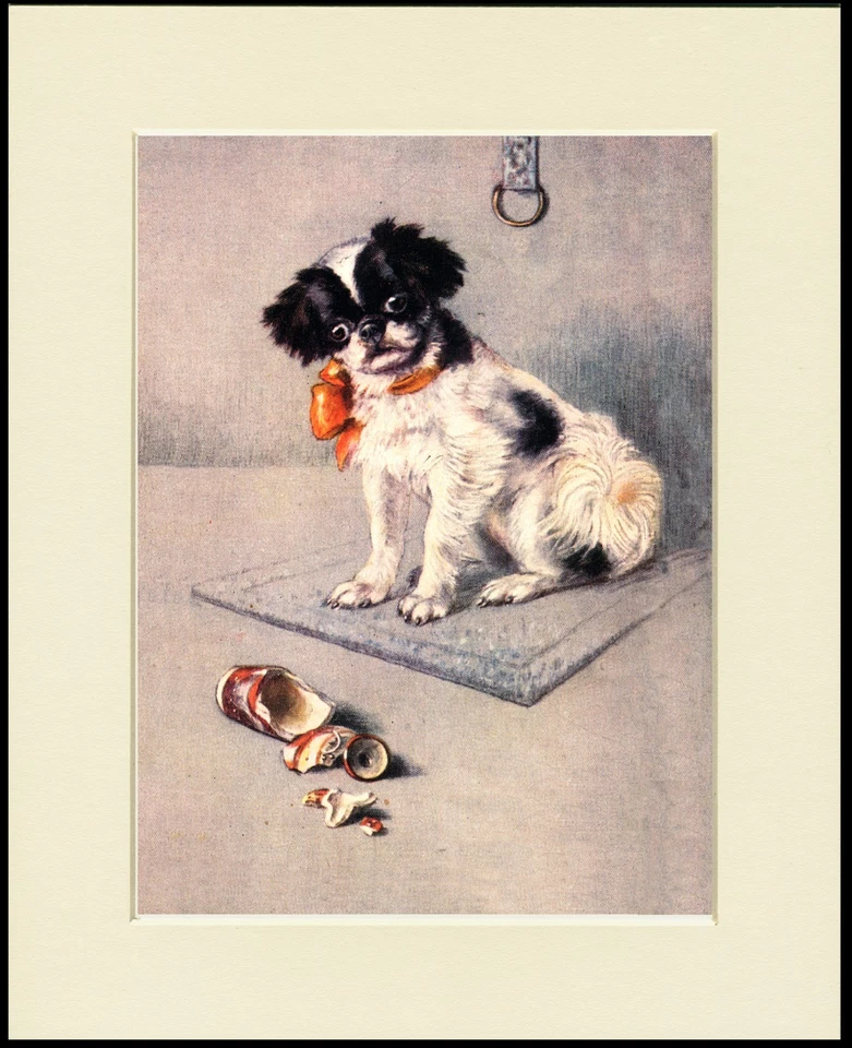 JAPANESE CHIN PUPPY AND BROKEN VASE LOVELY DOG PRINT MOUNTED READY TO FRAME - Image 1 of 1
