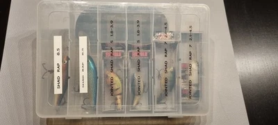 19 X Rapala Wobbler ,Barsch, Zander, Hecht. 15 X in Ovp , In beschrifteten Boxen - Bild 1 von 4