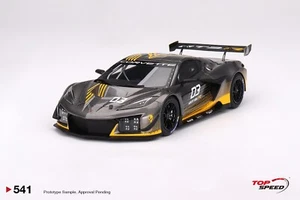 1/18 TSM velocidad máxima #TS0541 Corvette Z06 GT3.R 2023 presentación Daytona - Imagen 1 de 1