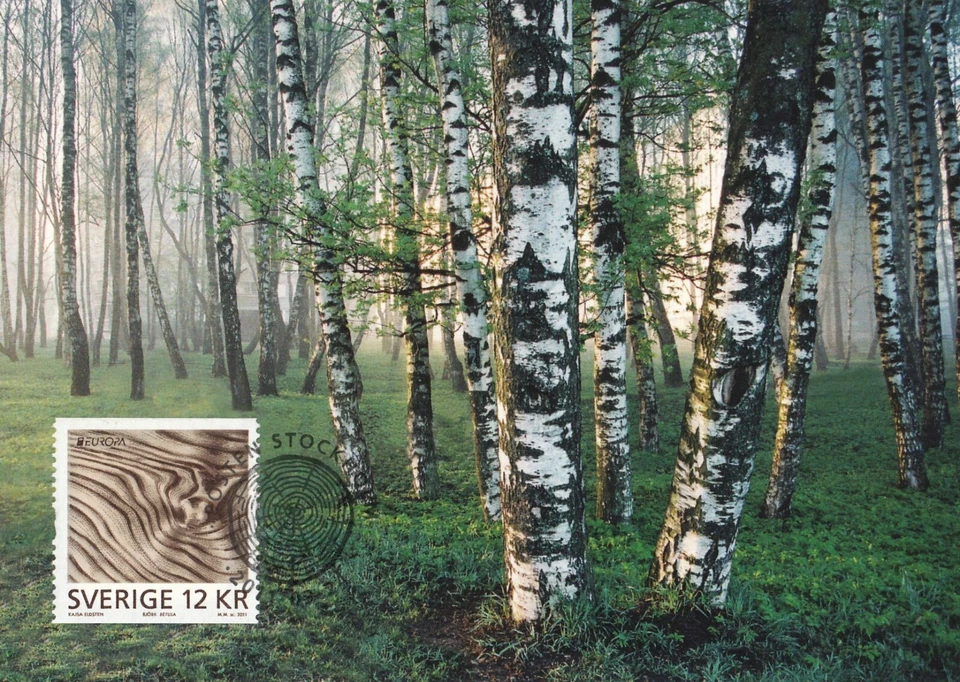 Birch Forest Clean Europe Sweden Scandinavia Nature Mint FDC Maxi Card 2011 - Image 1 of 1