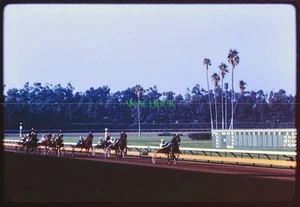 18 Original Slides CIRCLE D HARNESS RACING 1962 Hollywood Park Horse Track ROCHE - Picture 1 of 12