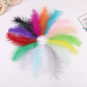 100pcs Natural Fluffy Marabou Plumas Wedding Party Handicraft Accessories - Picture 1 of 20