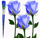 Regalo San Valentino Mazzo di rose Artificiali da 26/28cm Colori Rossa Blu Viola