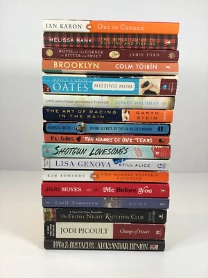 Lot of 17 Books Popular Literary Fiction Novels, Family Saga, Friendship, Love - Imagem 1 de 4