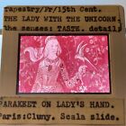 Lady & Unicorn Tapestries “Taste” French Medieval 35mm Art Slide