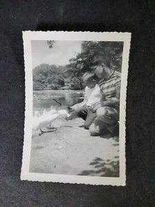 Vintage Press Photo Black and White Two Boys Feeding Ducks 1957 3.5"x5" - Picture 1 of 2