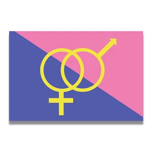 Magnet Me Up Straight Pride Flag Car Magnet Decal, 4x6 Inches, Pink Blue and Yel - Picture 1 of 1