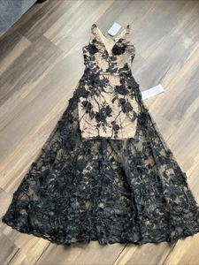 Kleid The Population Damen Sydney Spitze Blumen Applikation Kleid Neu Mit Etikett XXS - Bild 1 von 15