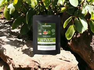Té de hoja de mango - azúcar en la sangre (premium) - Imagen 1 de 4