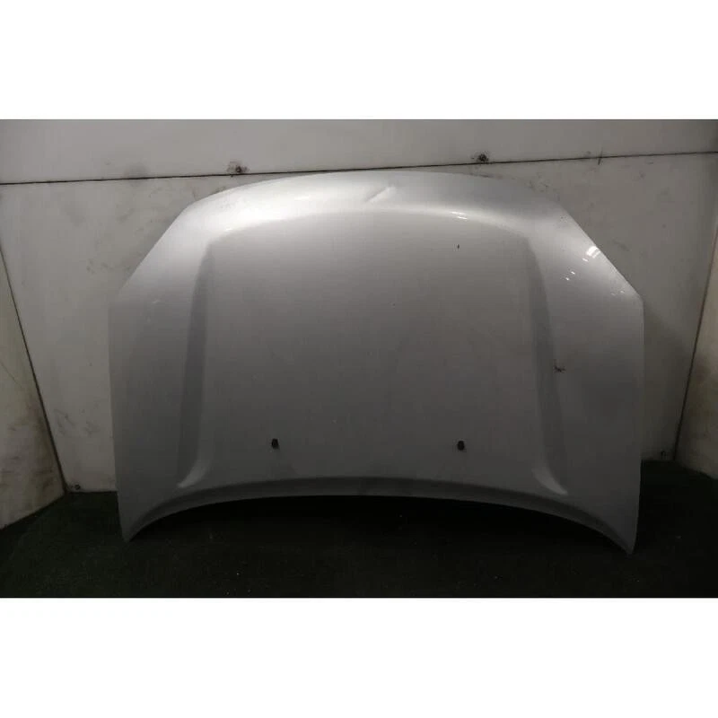 CAPOT DR - EVO DR5 (07-15) 2.0 16V LPG (95KW) 4WD SUV 5P/B-G/1971CC 2007 - Image 1 of 4