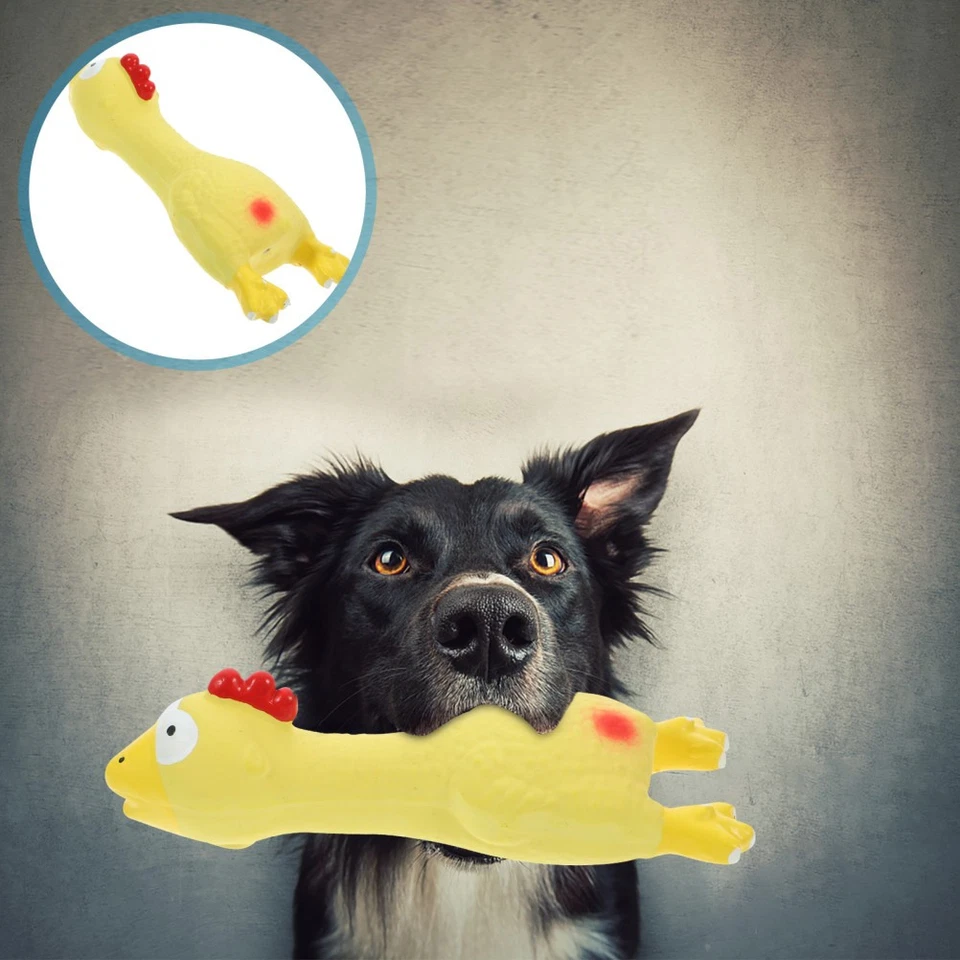  Giocattolo Per Cani in Lattice Giocattoli Da Masticare Animali Domestici - Immagine 1 di 4