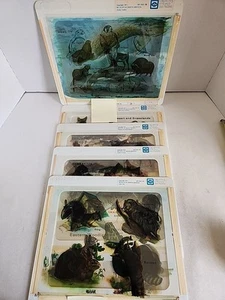 14 Transparencies Overhead Projector Film School 1971 Wildlife Of North America - Picture 1 of 8