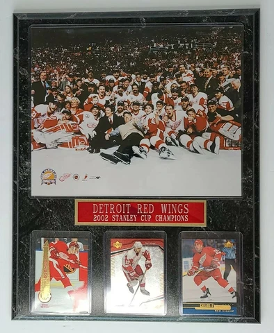 Detroit Red Wings 2002 Stanley Cup Championship Team Picture Collage Plaque NHL Cover