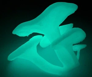 Glow in The Dark Figura/Modello di Fungo Jack-o-Lantern Stampato in 3D ~ Made in... - Foto 1 di 4