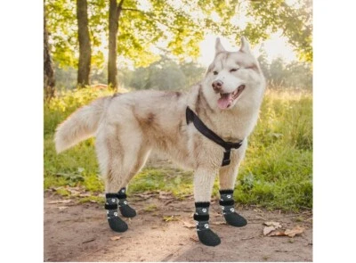 Носки для собак KOOLTAIL противоскользящие контроль тяги водонепроницаемые размер M - Изображение 1 из 4