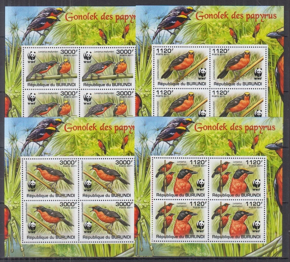 ST1323P4. Burundi - MNH - Birds - WWF - Image 1 of 1