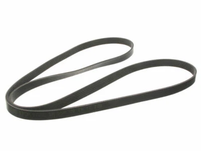 For 1985 Ford Mustang Multi Rib Belt 29468KT 5.0L V8 - Image 1 of 2