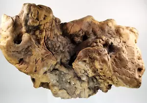 Hermosa superficie nudos en todas partes con nudos de madera a la deriva - Imagen 1 de 15