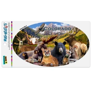 Colorado Mountains Lake Wildlife Beer Moose Elk Cougar Car Euro Oval Magnet - Picture 1 of 4