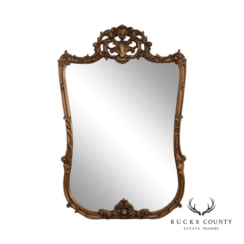 French Rococo Style Gilt Wood And Carved Gesso Wall Mirror Cover