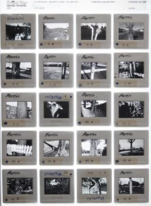 Rodger Mertin Fine Art Photography 35mm Slide Film - Lot of 88 - Picture 1 of 5