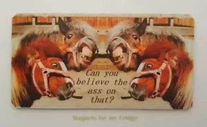 FUNNY HORSE QUOTE: 'Can you believe the ass on that?' FRIDGE MAGNET - M286 F - Picture 1 of 1