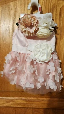 Top Paw XS Vestido para Perro y Diadema Traje de Boda, Vestido de Pascua Bandana GRATIS NUEVO CON ETIQUETAS Foto 1 de 4