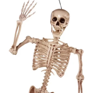 5.6 Ft. White Halloween Posable Body Skeleton Made of Plastic - Picture 1 of 12