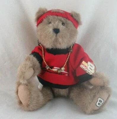 Dale Earnhardt Jr NASCAR #8 10" Boyds Bear con alfiler y collar con dije Foto 1 de 4