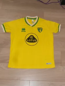 Norwich City 2020/21, LOTUS_Home, Women's size 36' Football Shirt_Nice - Picture 1 of 2