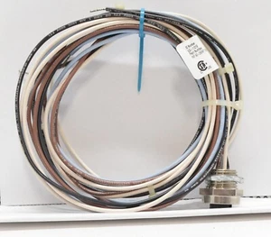 Actuador y sensor Receptáculo Turck RKF-40-2M/NPT U2-11219 - Imagen 1 de 3
